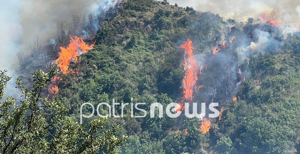 Φωτιά στα Ηλεία: Οι φλόγες «γλείφουν» τα σπίτια, απομακρύνονται κάτοικοι