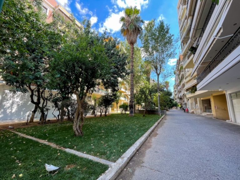 Δήμος Αθηναίων: Ασπίδα προστασίας για 8.000 μουριές