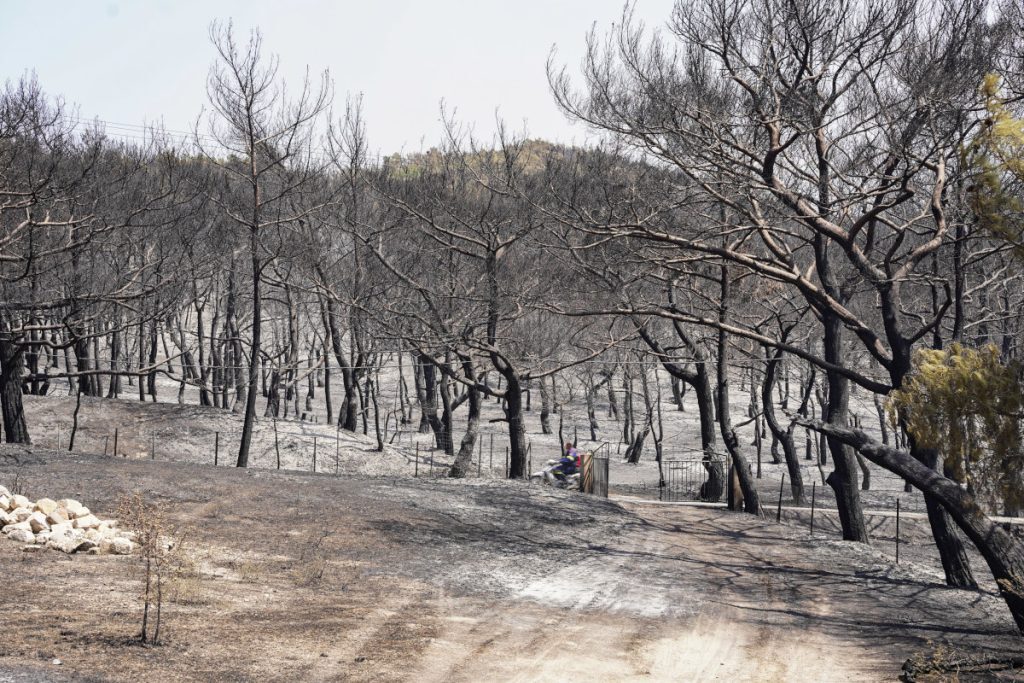 Φωτιά στη Λέσβο: Νέα αναζωπύρωση – Εκκένωνεται το χωριό Βρίσα