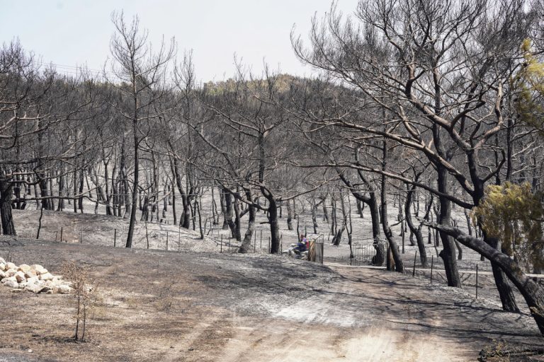 Φωτιά στη Λέσβο