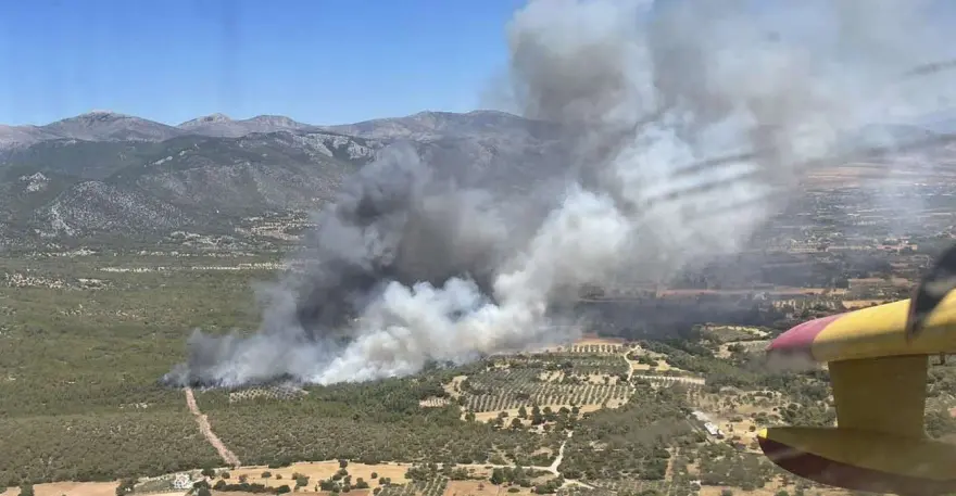 πυρκαγιά φωτιά στα Μέγαρα