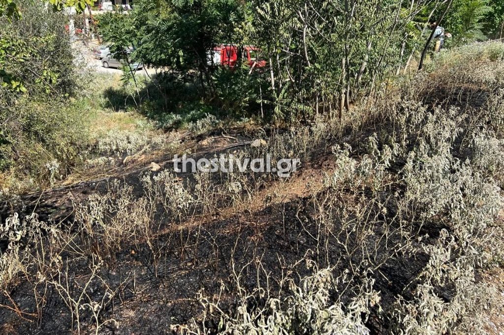 Θεσσαλονίκη: Πουλί προκάλεσε φωτιά στο Ελαιόρεμα Πυλαίας