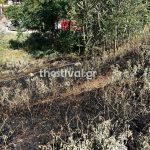 Θεσσαλονίκη: Πουλί προκάλεσε φωτιά στο Ελαιόρεμα Πυλαίας