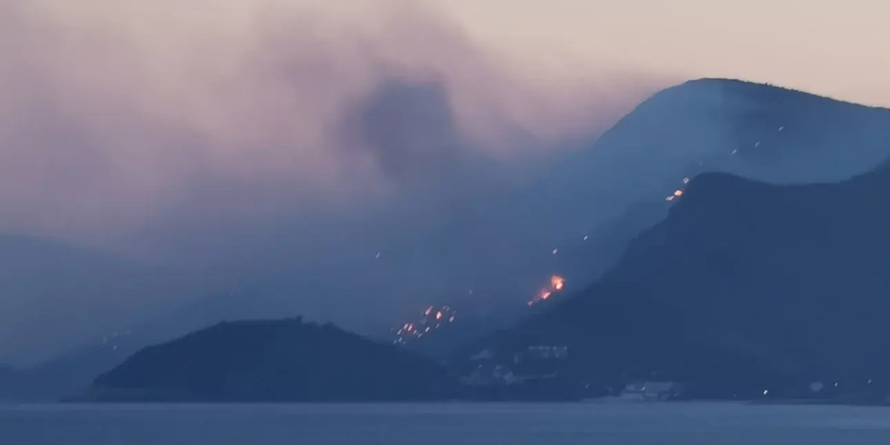 Σάμος πυρκαγιά