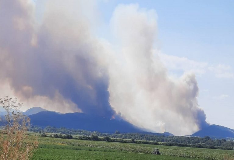 O καπνός από τις δασικές πυρκαγιές και οι επιπτώσεις στην υγεία
