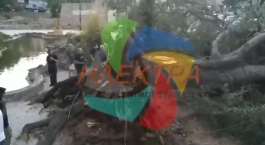 Πανικός σε καφετέρια στο Ναύπλιο – Έπεσε δένδρο και τα διέλυσε όλα