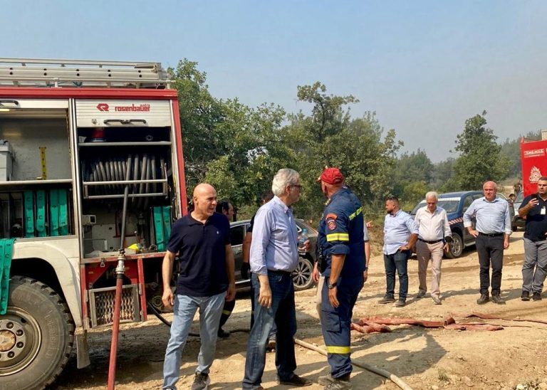 Στυλιανίδης για πυρκαγιά σε Δαδιά Έβρου: Νέο σχέδιο κατάσβεσης