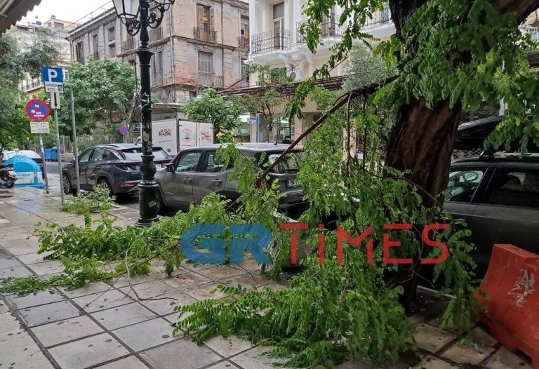 Στο επίκεντρο της κακοκαιρίας η Κεντρική Μακεδονία – Ζημιές και προβλήματα στους δρόμους [εικόνες]