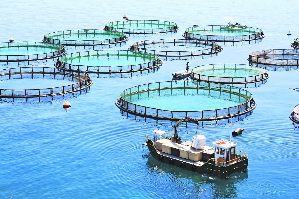 Επιδοτήσεις έως 1 εκατ. ευρώ από το Ταμείο Ανάκαμψης για επενδύσεις στις υδατοκαλλιέργειες