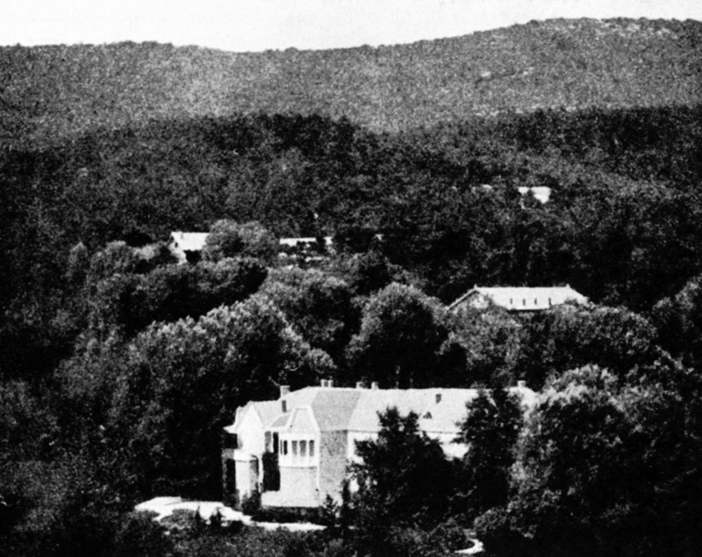 Πώς κάηκαν τα δάση της Αττικής – Η δασική πυρκαγιά που δημιουργεί το Πυροσβεστικό Σώμα