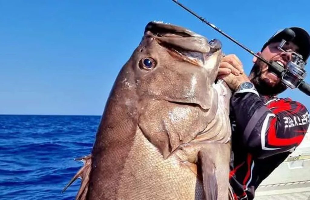 Απίστευτη ψαριά στα Χανιά: Έπιασε βλαχοσφυρίδα 40 κιλών