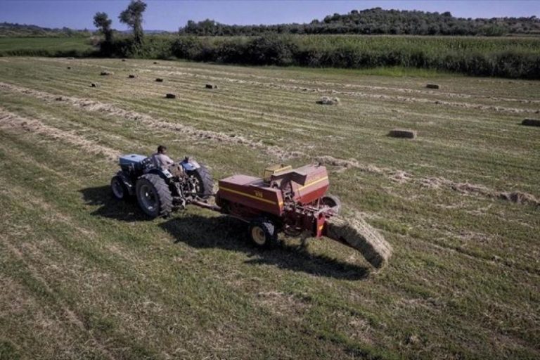 ΟΠΕΚΕΠΕ Αγροτικές επιδοτήσεις μεταβίβαση