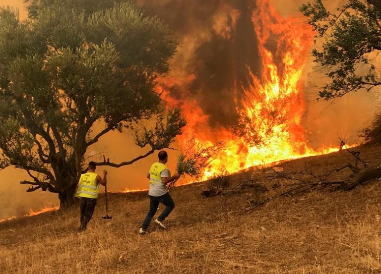 Αλγερία: Σκηνές πανικού και τουλάχιστον 38 νεκροί από τις πυρκαγιές που μαίνονται στη χώρα