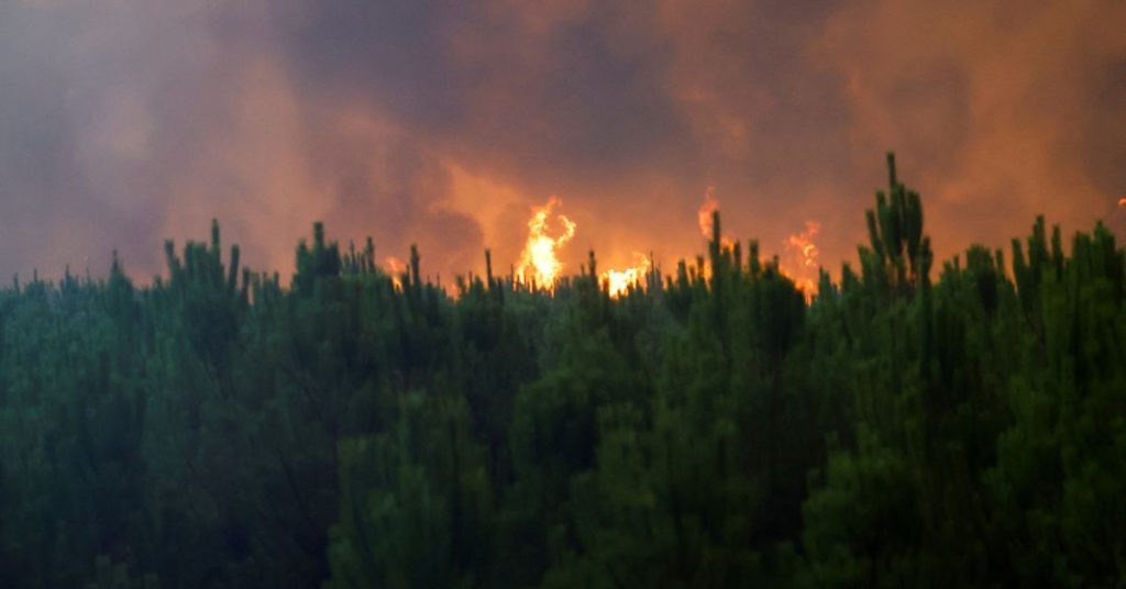 Γαλλία: Πυρκαγιά – «τέρας» κατακαίει το Μπορντό – Μάχη για την κατάσβεσή της