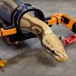 Τρόμος στην Κύμη για οικογένεια: Φίδι μπήκε σε παιδικό δωμάτιο