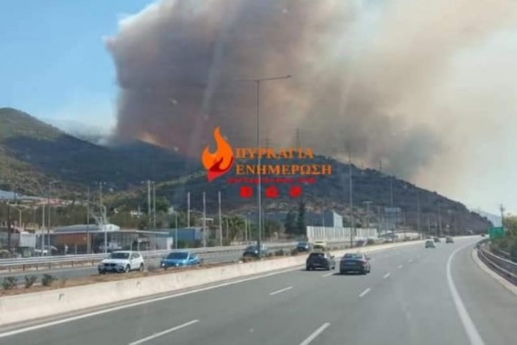 Φωτιά στη Νέα Πέραμο Ελευσίνας, κοντά στα διόδια – Ζητήθηκε η εκκένωση της Άνω Βλυχάδας, που έχει δ