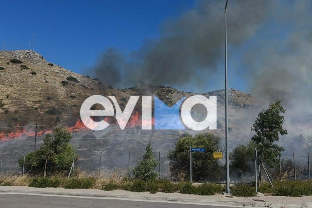 Φωτιά στη Χαλκίδα: Μάχη για να μην φτάσει στο Πεδίο Βολής – Συναγερμός στο νοσοκομείο [εικόνες-βίντε