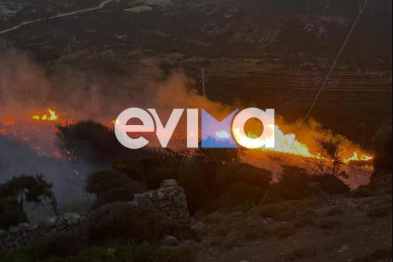 Φωτιά στην Εύβοια: Στις φλόγες οι Ραπταίοι – Πνέουν ισχυροί άνεμοι, στη μάχη της κατάσβεσης και εθελοντές