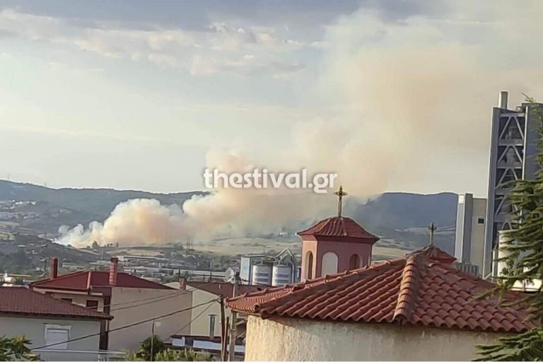 Θεσσαλονίκη: Φωτιά στο Ωραιόκαστρο – Στη «μάχη» με τις φλόγες και ελικόπτερα