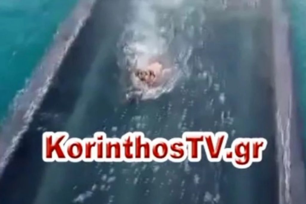 Κόρινθος: Σοκάρει το βίντεο με το τρομοκρατημένο σκυλάκι – Προσπαθεί να σωθεί την ώρα που βυθί