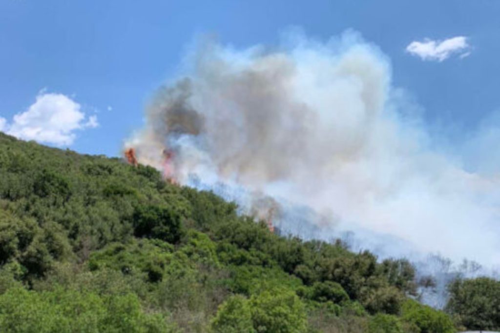 Φωτιά στη Μεσσηνία: Μήνυμα από το 112 για εκκένωση από Μεσοχώρι προς Πήδασο