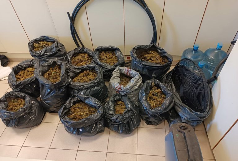 Λάρισα: Παράνομα όπλα και ναρκωτικά βρήκαν σε σπίτι