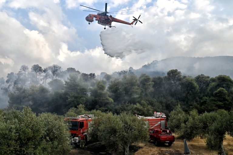 Φωτιά στην Πύλο – Συναγερμός στην Πυροσβεστική