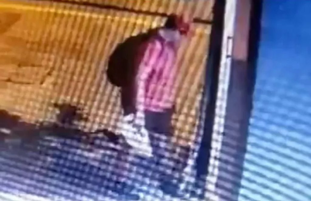 Θεσσαλονίκη: Ελεύθερος άνευ όρων ο 40χρονος που κατηγορείται ότι ποδοπάτησε το γατάκι