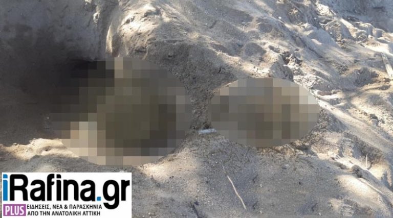 Θρίλερ στη Ραφήνα: Παιδάκι ξέθαψε ανθρώπινα οστά στην παραλία
