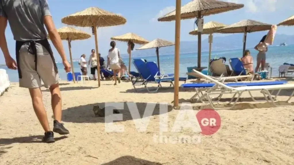 Τραγωδία στο Αγκίστρι: Ανδρας ξεψύχησε σε παραλία μπροστά στα μάτια της γυναίκας και του παιδιού του
