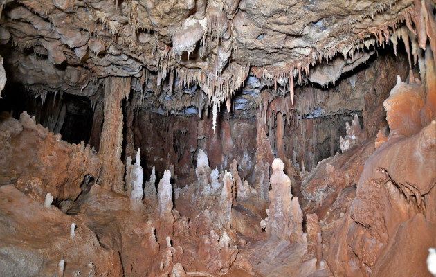 αρχάνθρωπος Πετράλωνα