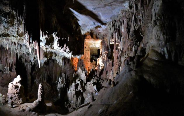 αρχάνθρωπος Πετράλωνα