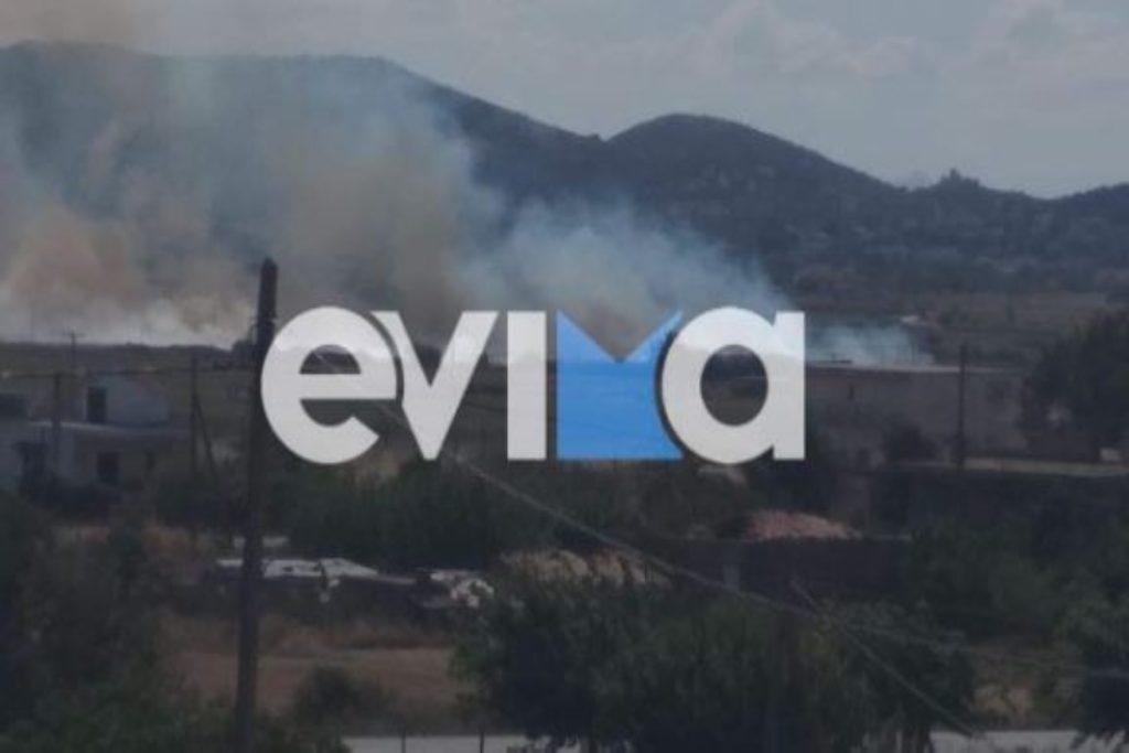 Φωτιά στην Εύβοια – Κοντά σε σπίτια οι φλόγες, οι πρώτες εικόνες