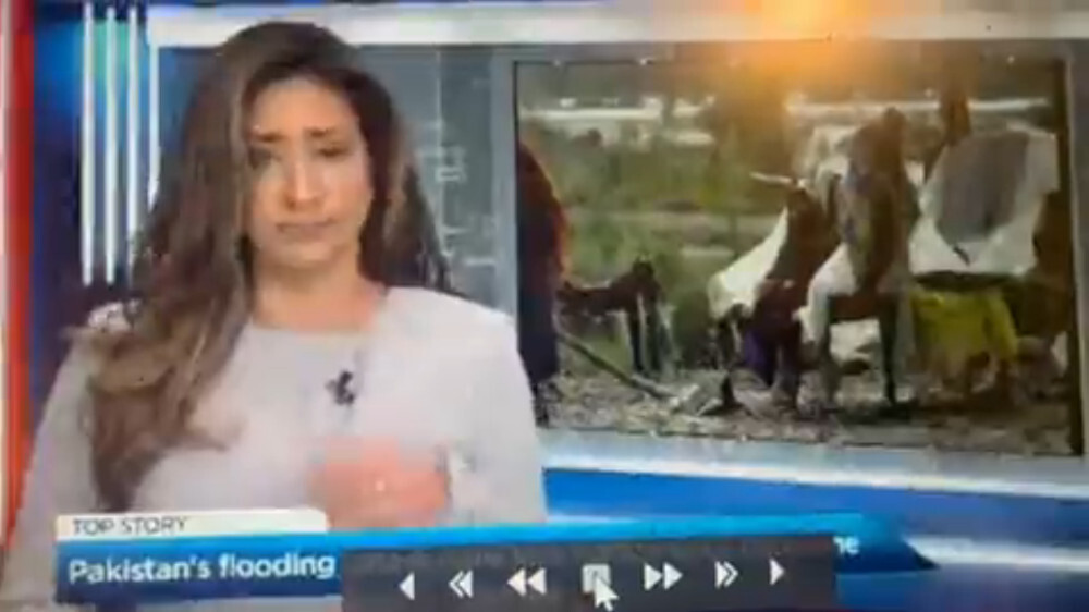 Παρουσιάστρια μύγα