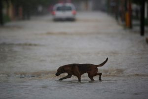 Πλημμύρα Βενεζουέλα