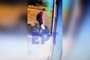 Φρίκη στη Θεσσαλονίκη: Νέες αποκαλύψεις για το τέρας που σκότωσε το γατάκι - Γνωστός στις Αρχές ο δράστης [βίντεο]