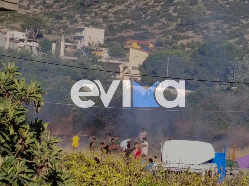 Μεγάλη φωτιά τώρα στη Χαλκίδα – Σκεπάζουν τα σπίτια οι καπνοί
