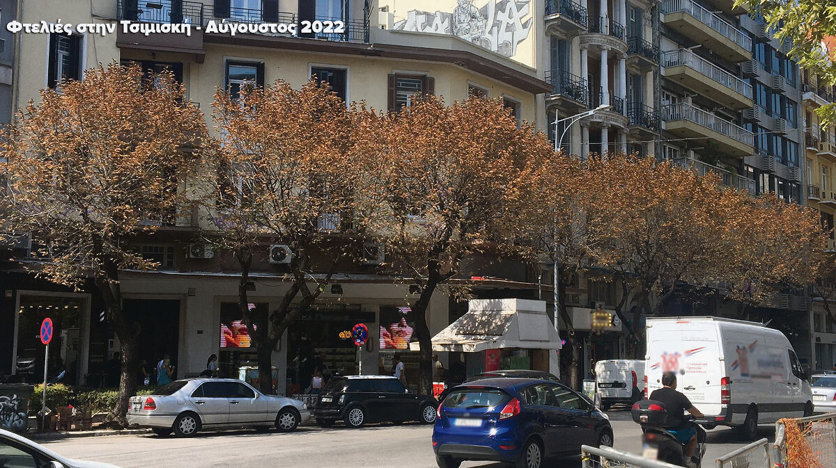 Εσωτερική εικόνα άρθρου
