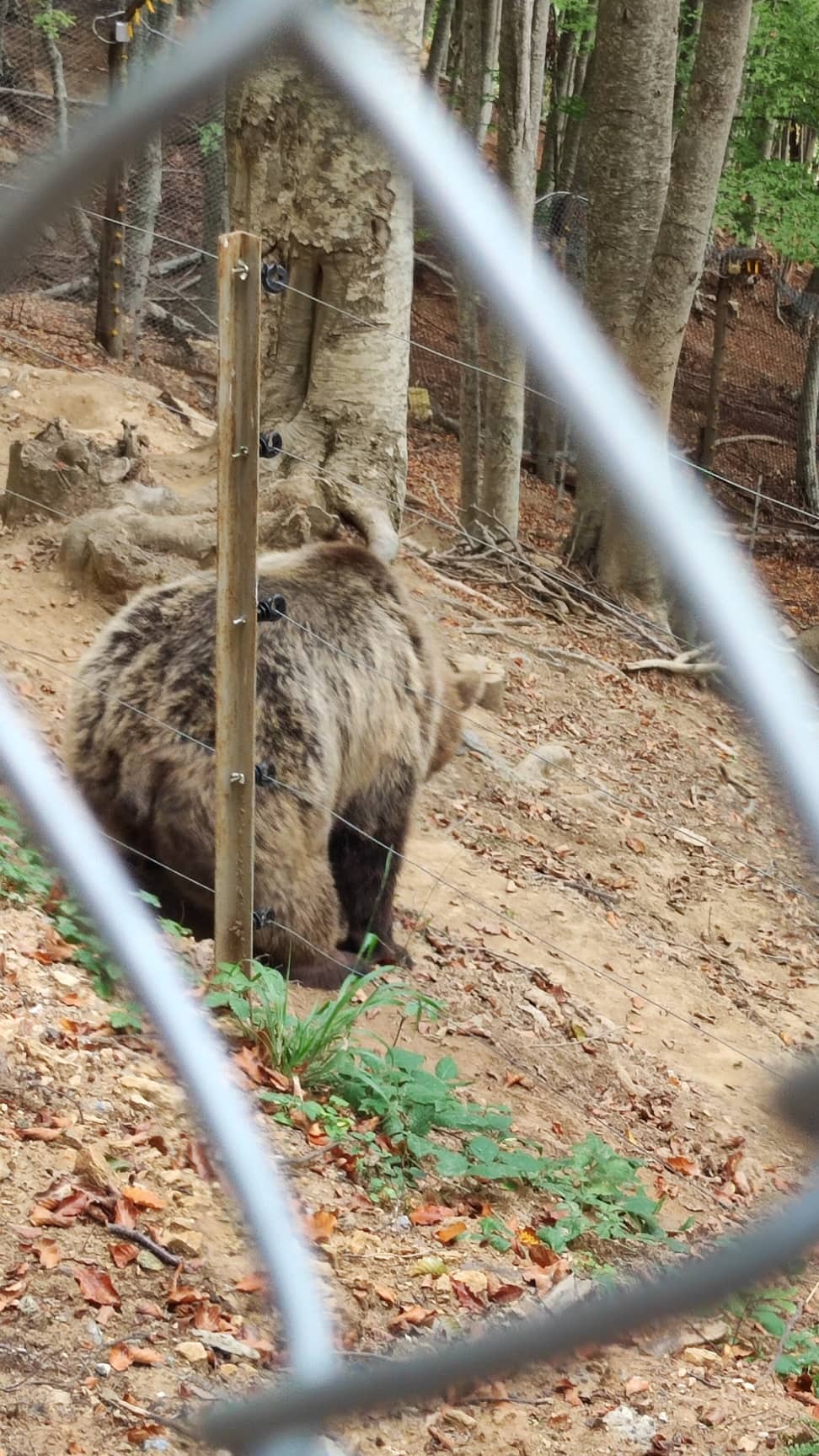 The Lynx Mountain Resort: Εξόρμηση στη Φλώρινα