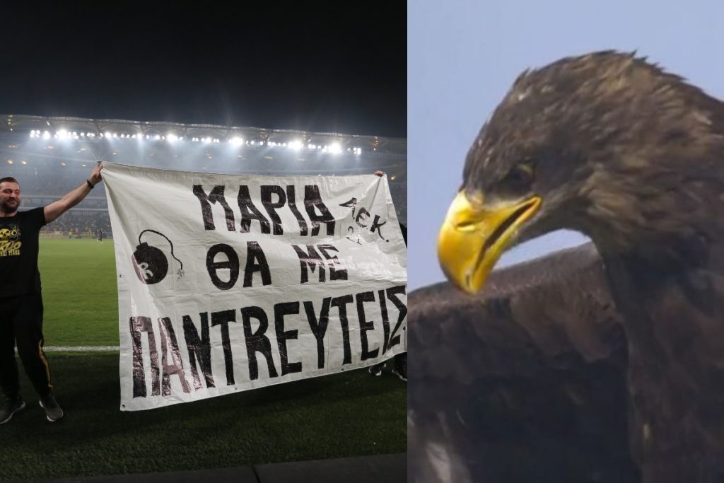ΑΕΚ: Η πρόταση γάμου στην Opap Arena και η πρώτη πτήση του «Οδυσσέα» – Εντυπωσιακά πλάνα [βίντ