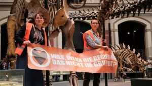 ακτιβίστριες