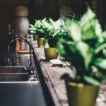 Tips: Προστατέψτε τα φυτά σας με υλικά που έχετε στο σπίτι σας