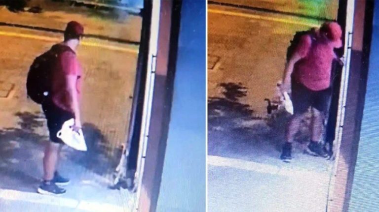 Θεσσαλονίκη: Για φόνο ζώου διώκεται ο διδάκτορας που πάτησε και έλιωσε το γατάκι