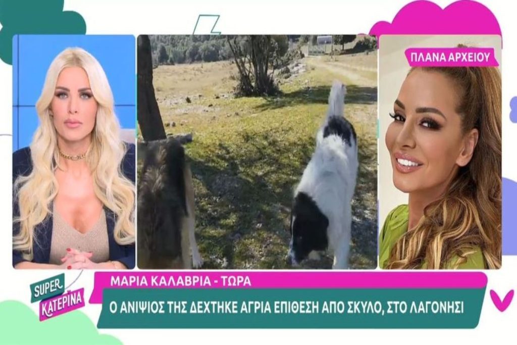 Μαρία Καλάβρια: Ο 14χρονος που δέχθηκε επίθεση από Ακίτα στο Λαγονήσι είναι ανηψιός της – «Σε