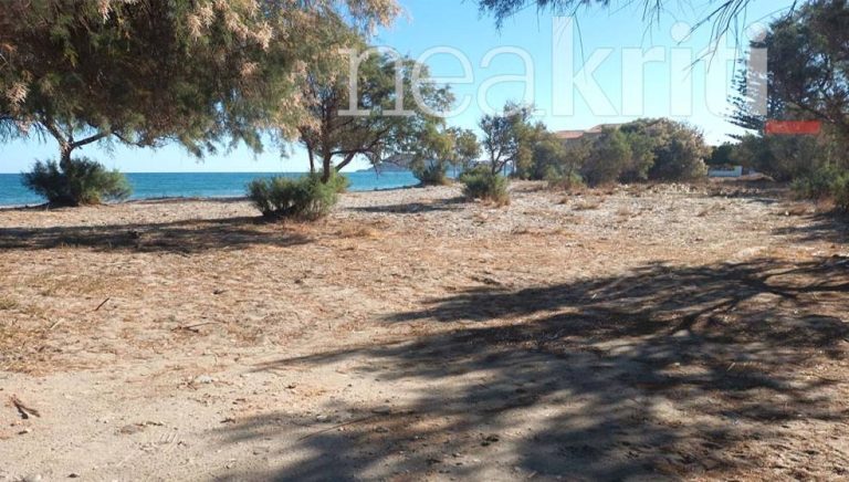 Ομαδικός βιασμός στα Χανιά: Τη φωτογράφισαν γυμνή πριν την εγκαταλείψουν