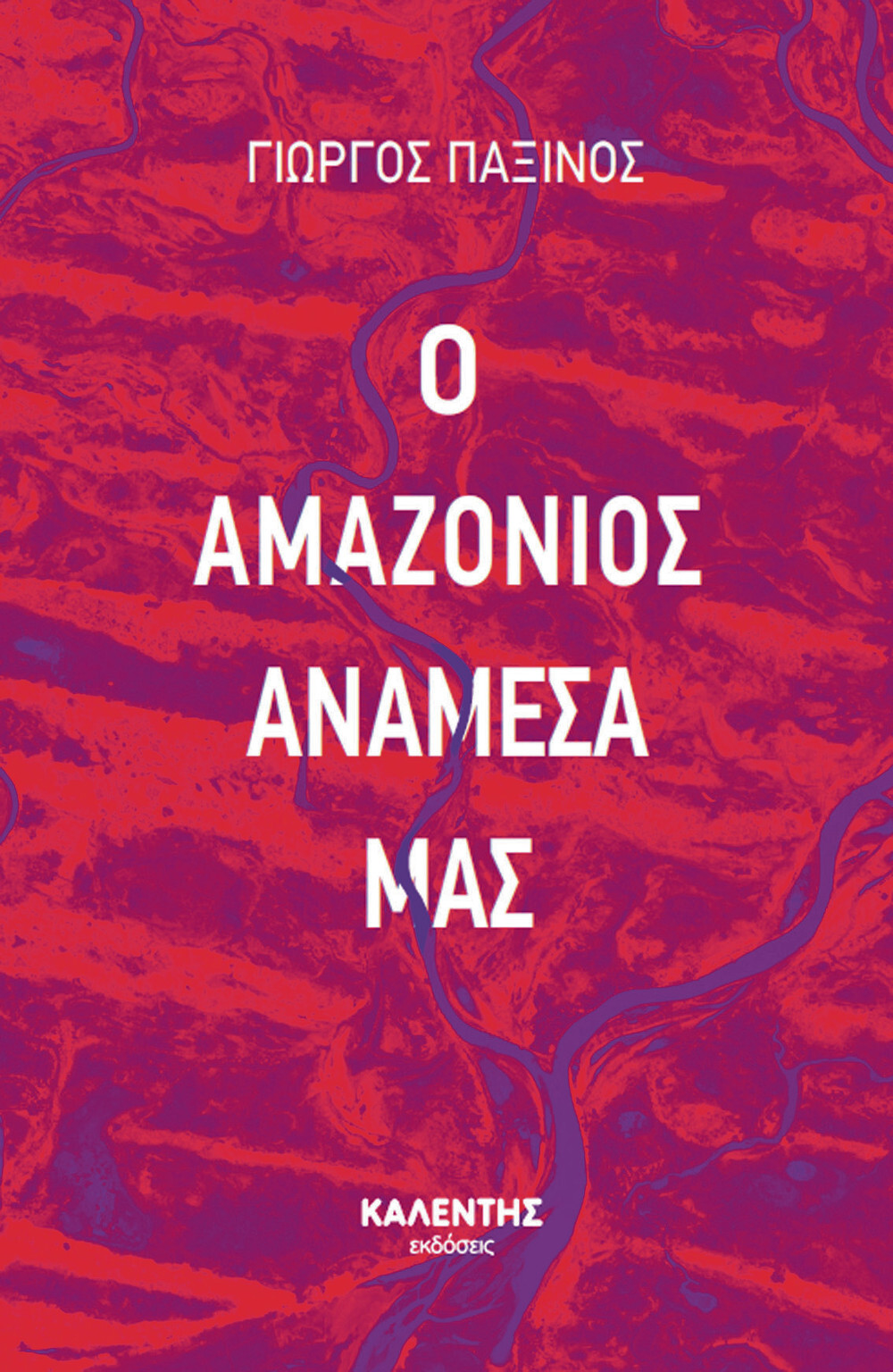 Εσωτερική εικόνα άρθρου
