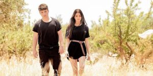 Η Γη της Ελιάς