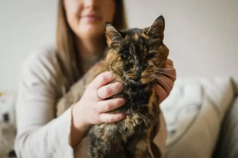 Η 26χρονη Flossie είναι η γηραιότερη γάτα του κόσμου