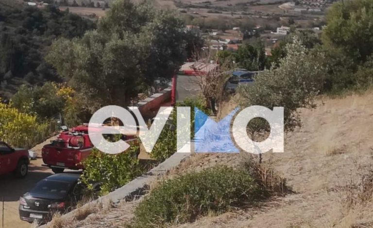 Θρίλερ στην Εύβοια: Πατέρας τριών παιδιών βρέθηκε νεκρός σε δεξαμενή