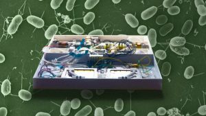 ανακύκλωση